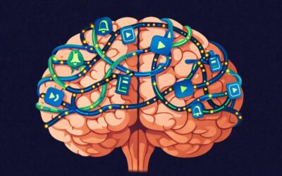 Chi Ha Studiato Tuo Figlio