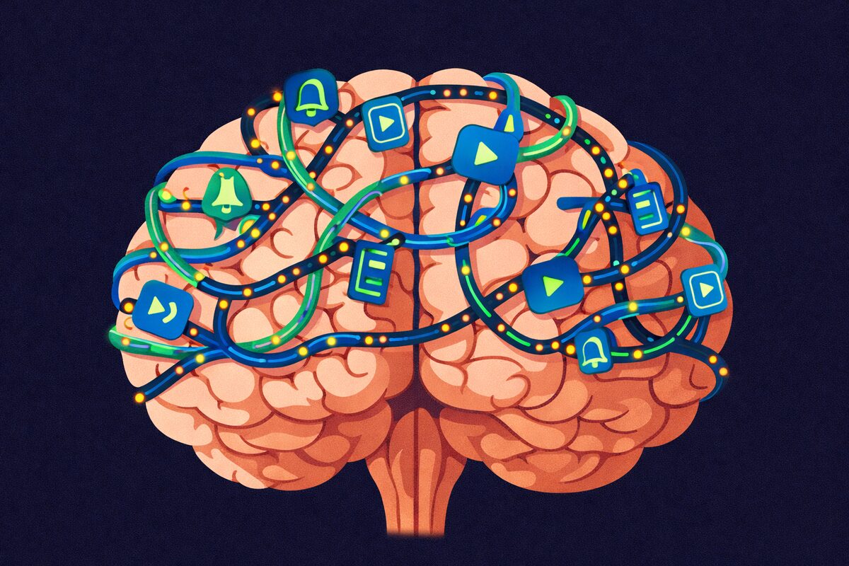 Chi Ha Studiato Tuo Figlio